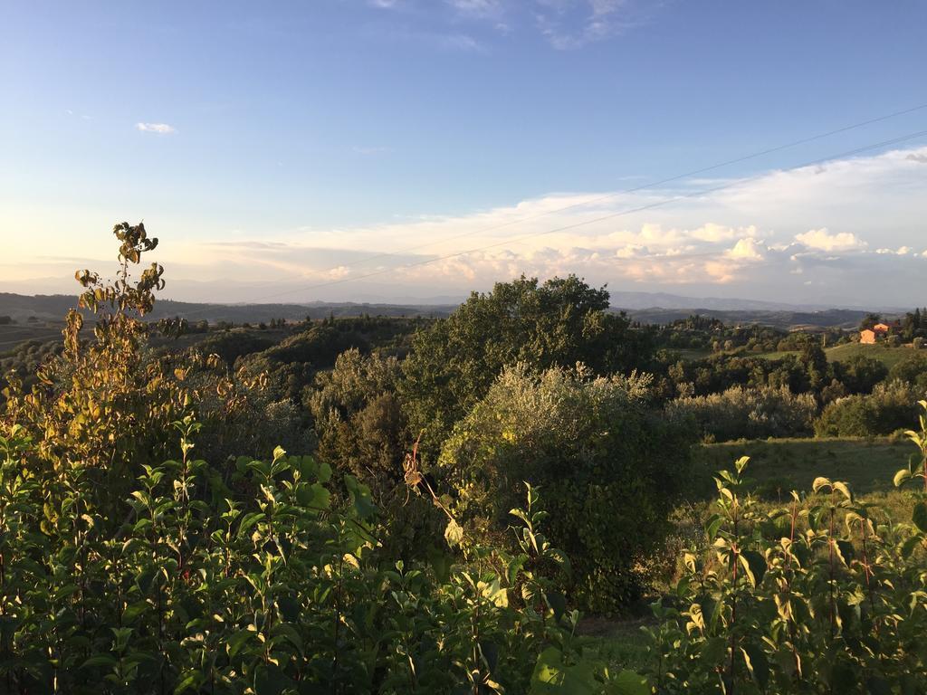 Da Tilli Alla Fornace - Agriturismo Монтайоне Экстерьер фото
