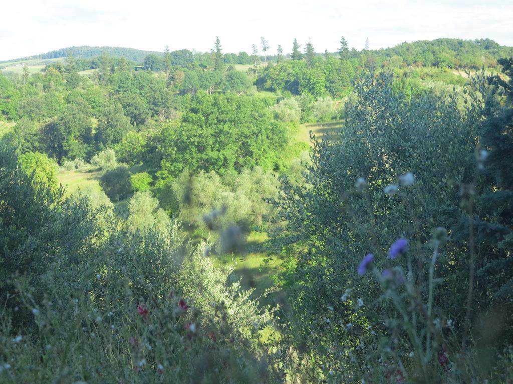 Da Tilli Alla Fornace - Agriturismo Монтайоне Экстерьер фото